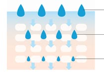 HYALURONIC ACID SERUM TO KEEP SKIN HYDRATED