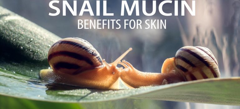 Snail mucin benefits for skin