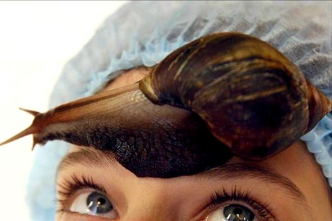 snail slime treatment for skin care